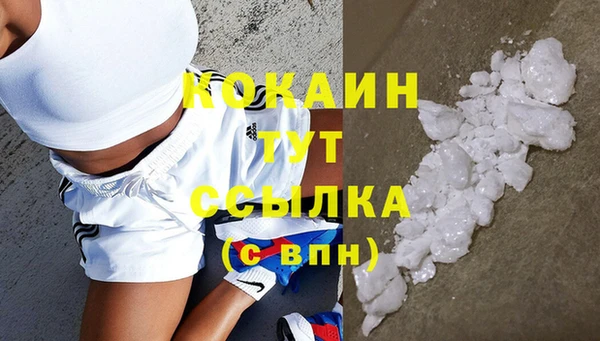 мдпв Осинники